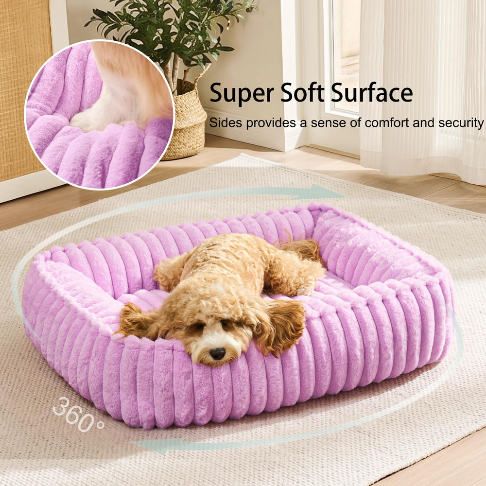 Jolifield petit chien utilisant le lit, confort visible
