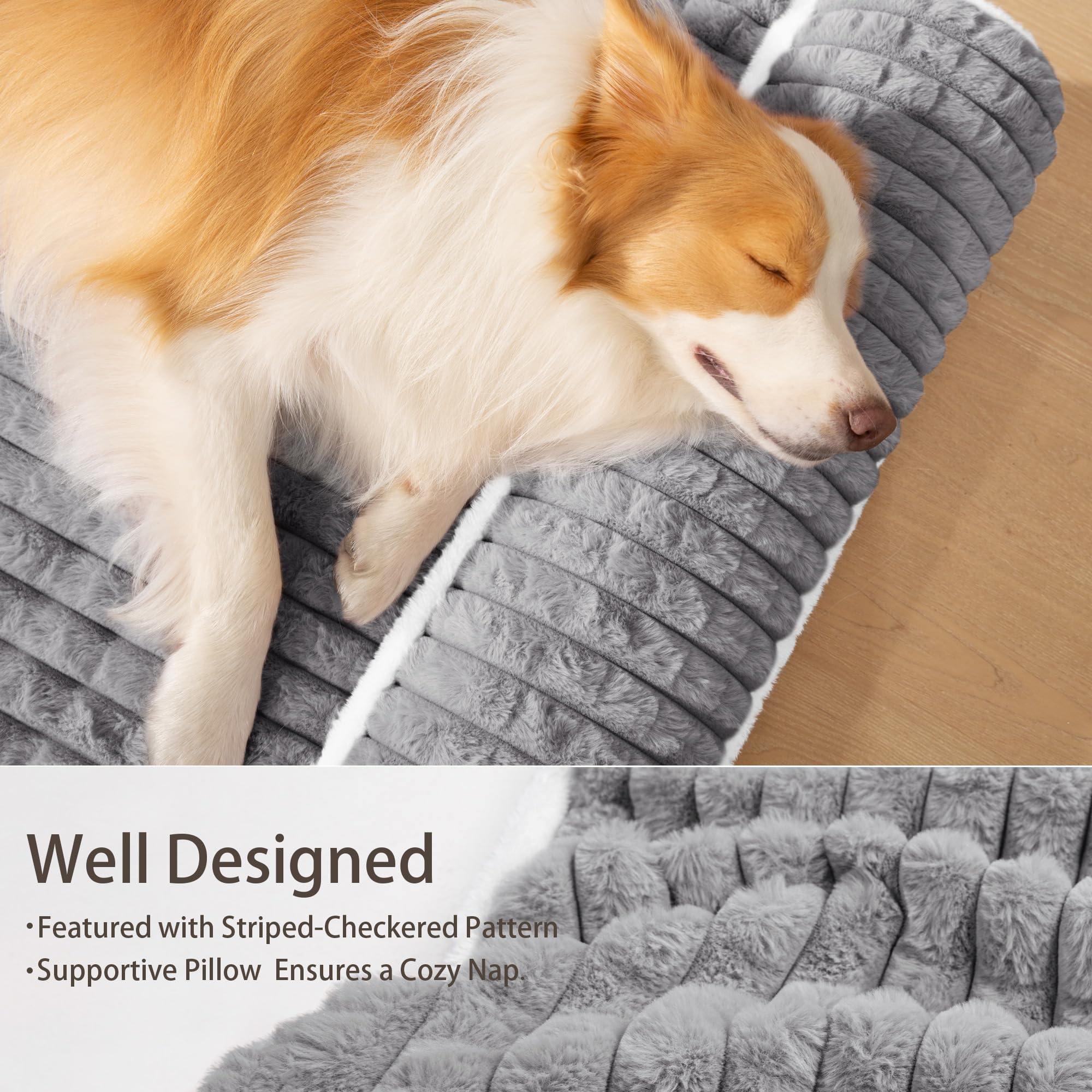 Jolifield chien couché dans lit illustrant relaxation sécurisante