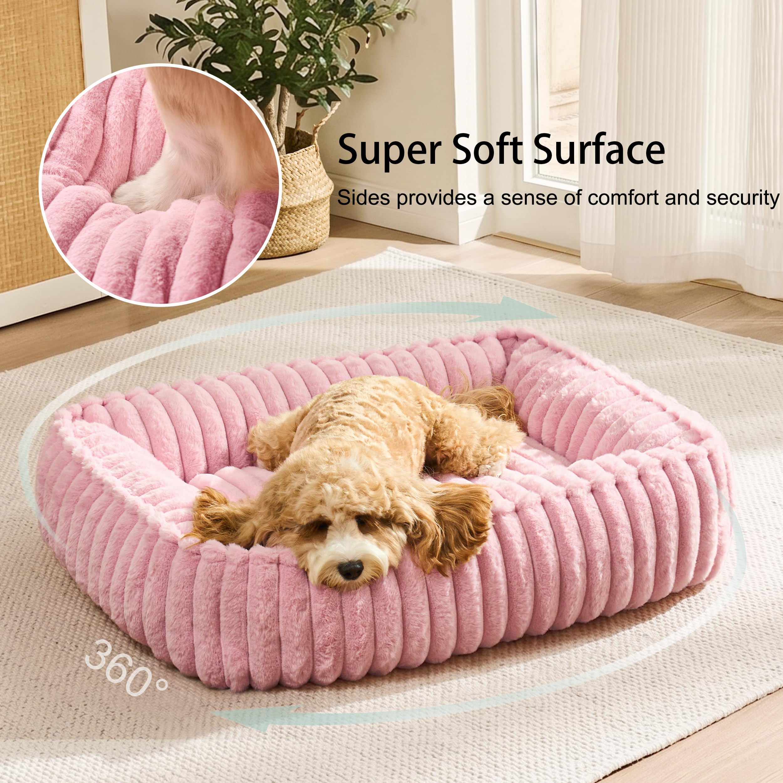 Jolifield chien blotti dans le lit illustrant relaxation sécurisante