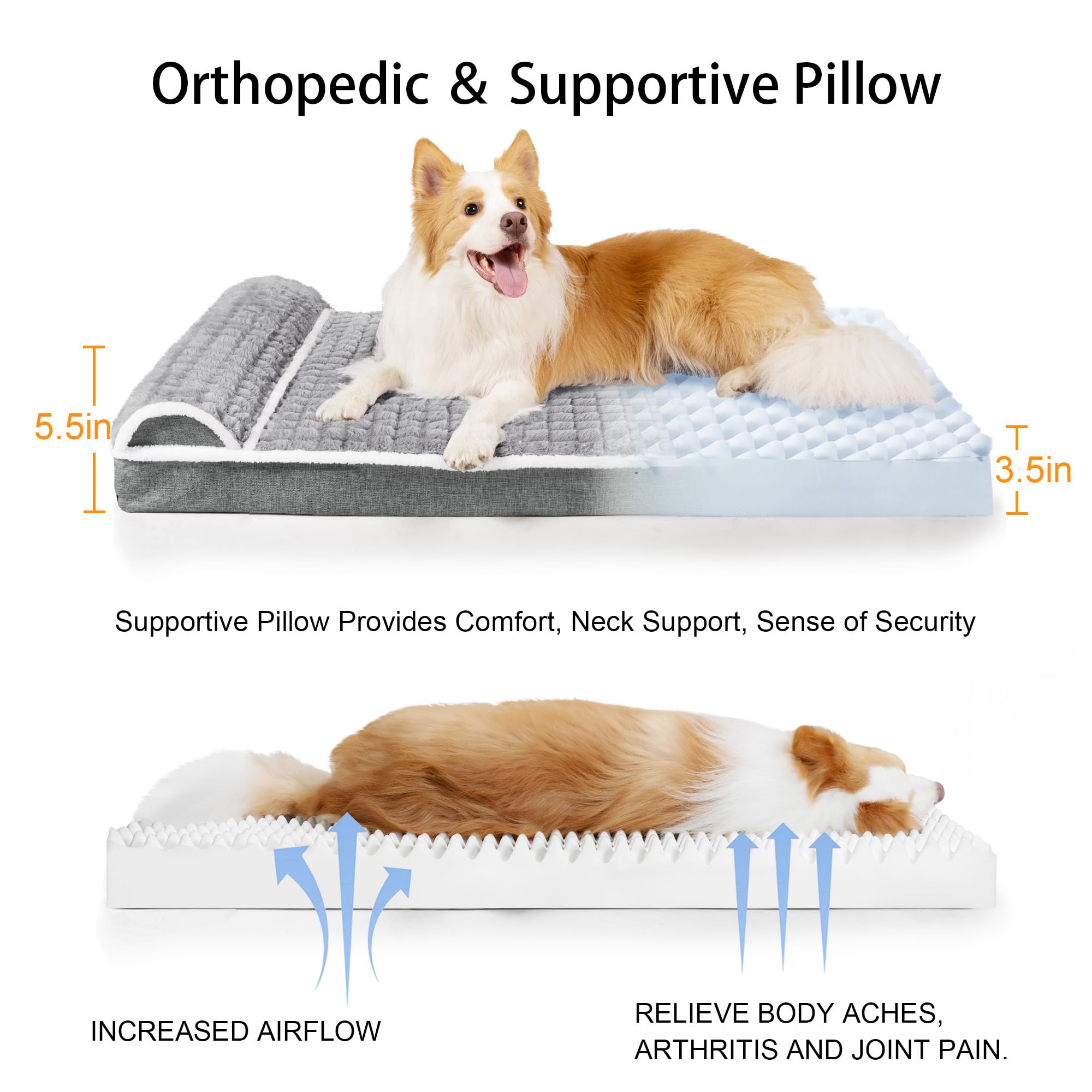 Jolifield comparaison 36x24 montrant taille adaptée chien moyen