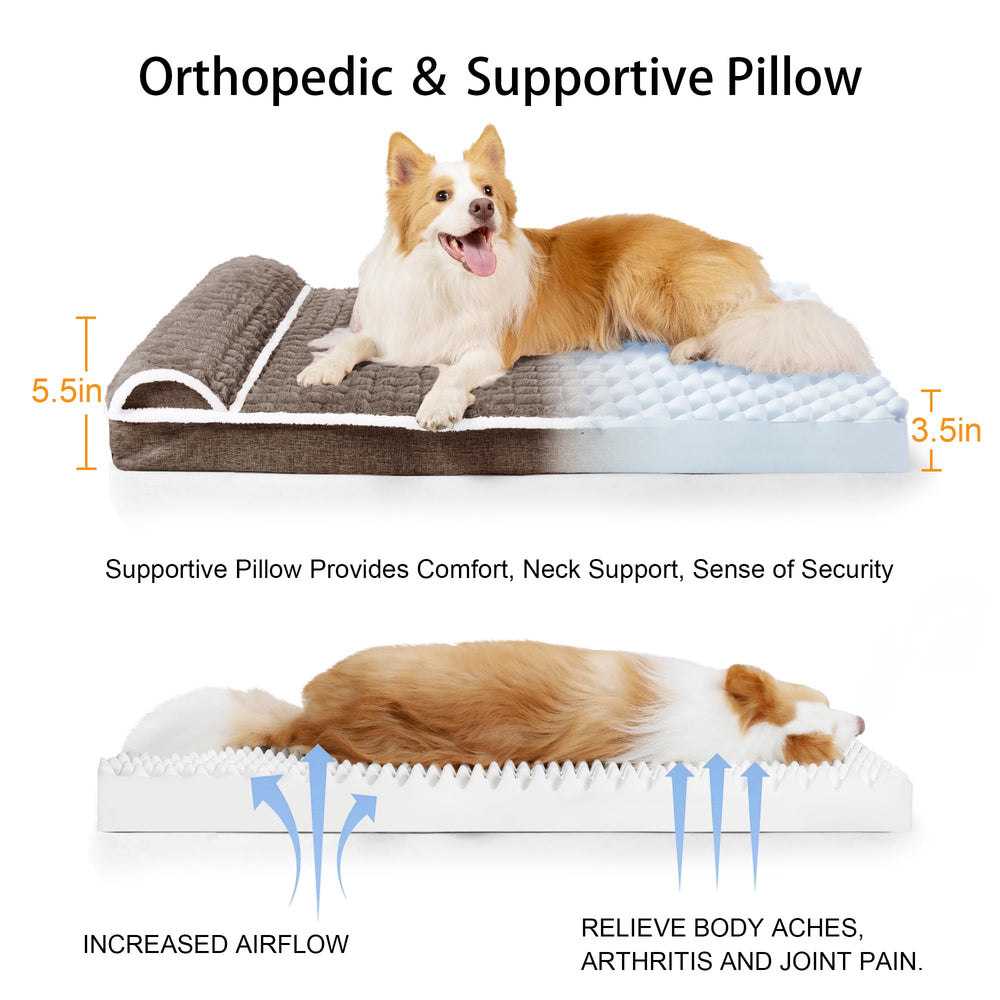 Jolifield comparaison taille 42x28 montre échelle adaptée chien