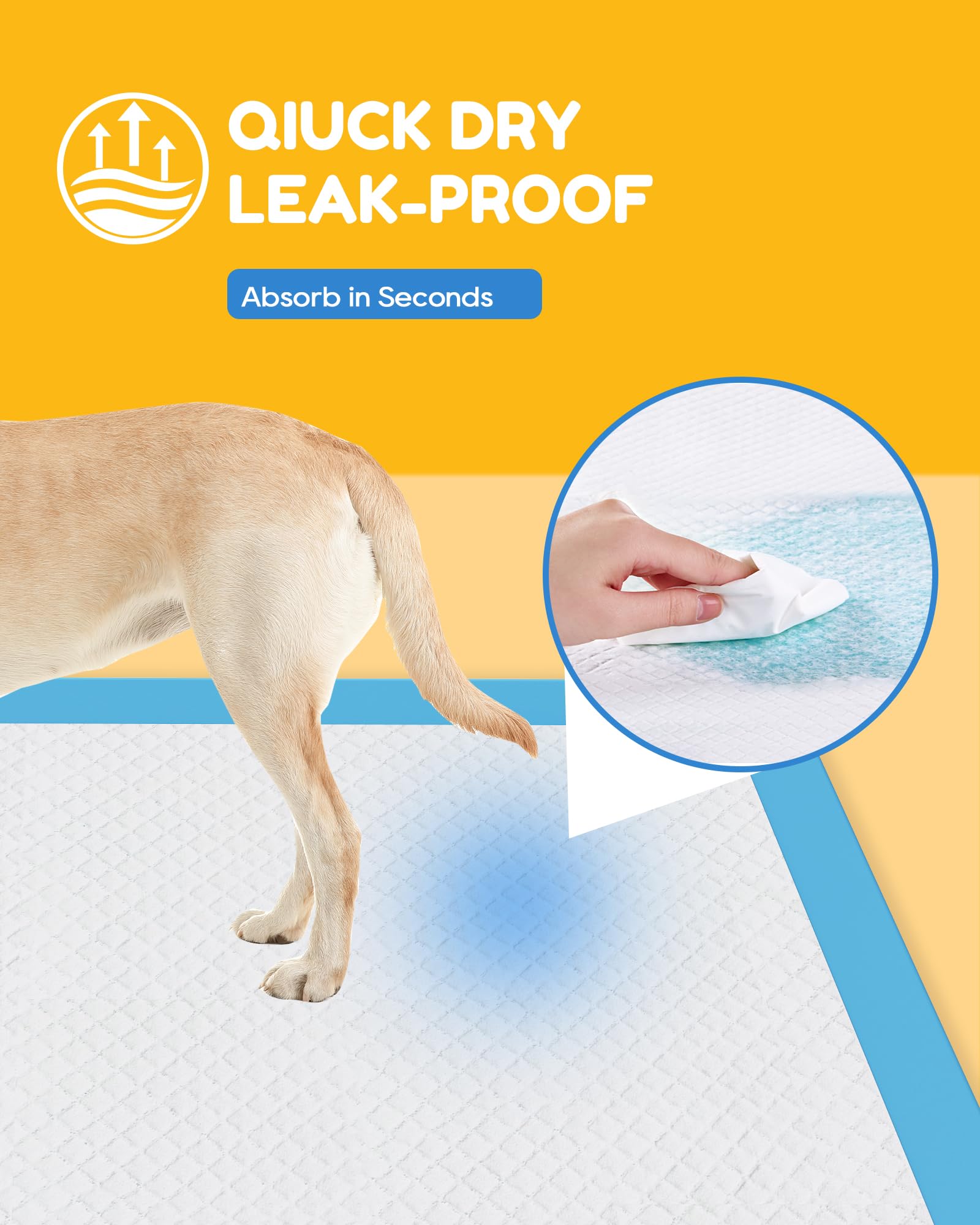 Jolly Care tapis utilisé sur canapé protégeant tissu et coussins