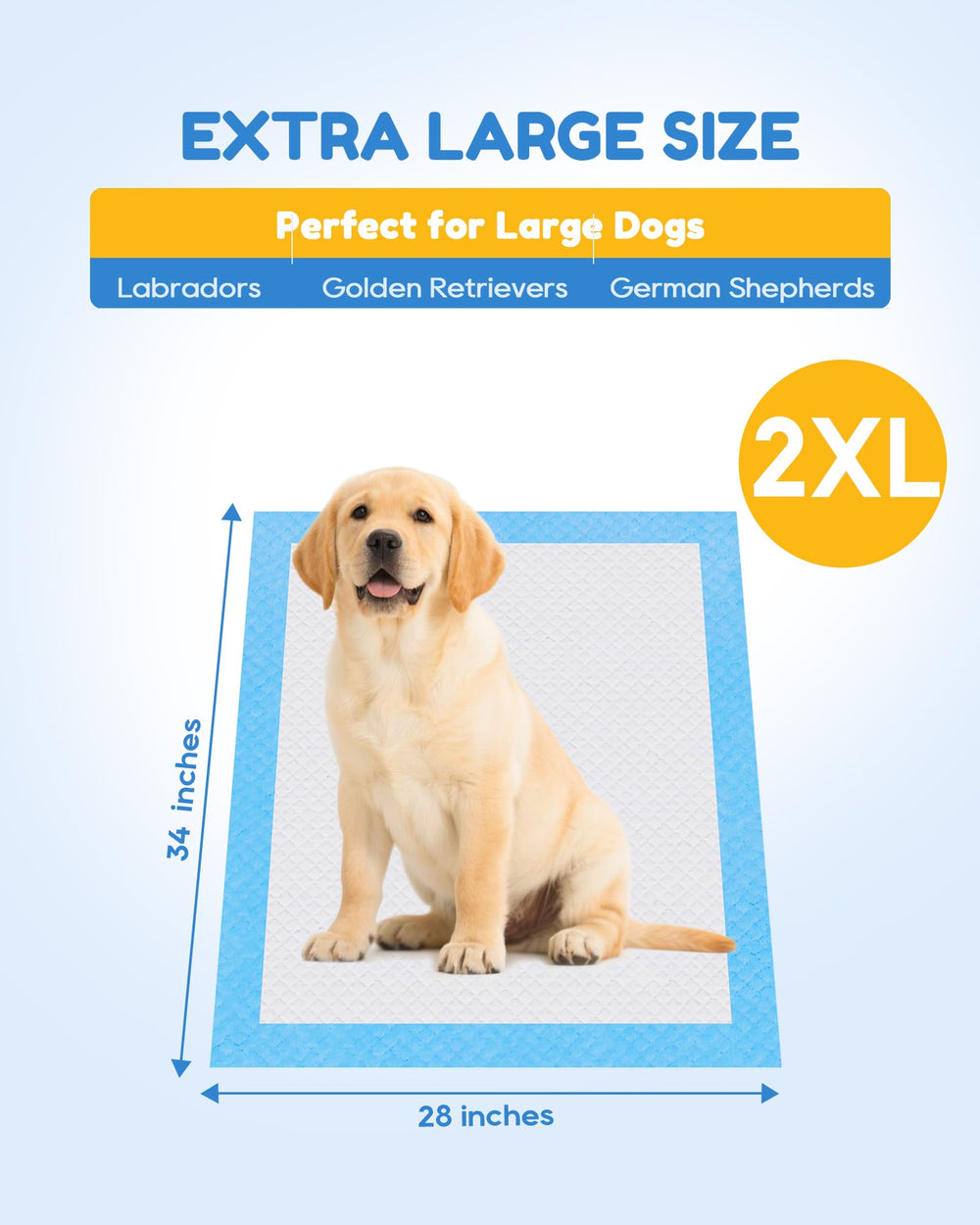 Jolly Care chien assis sur tapis gardant pattes et ventre au sec