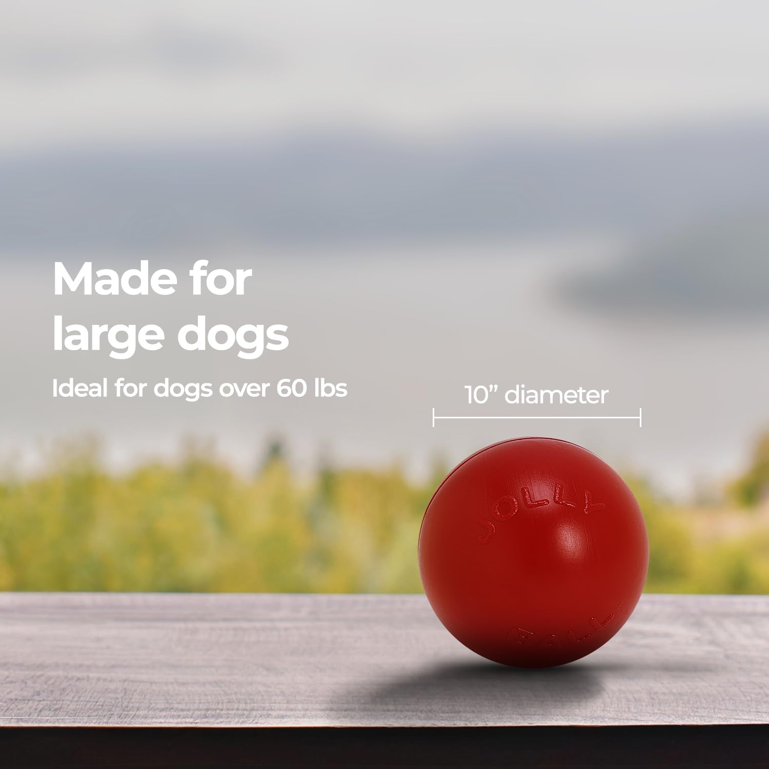 Jolly Pets balle rouge dans un salon montrant usage intérieur sûr et amusant