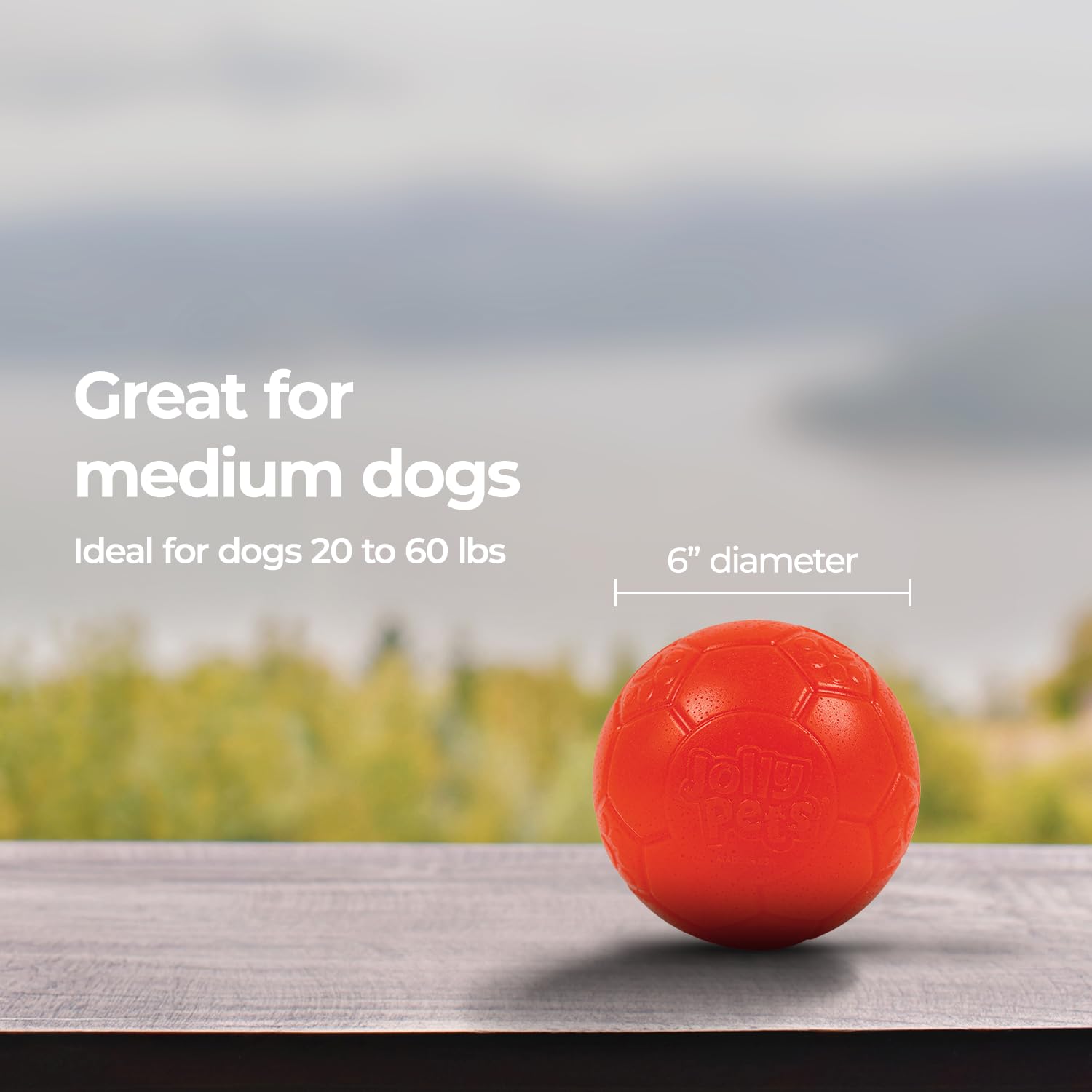 Jolly Pets comparaison taille 15 cm, choix adapté chiens moyens