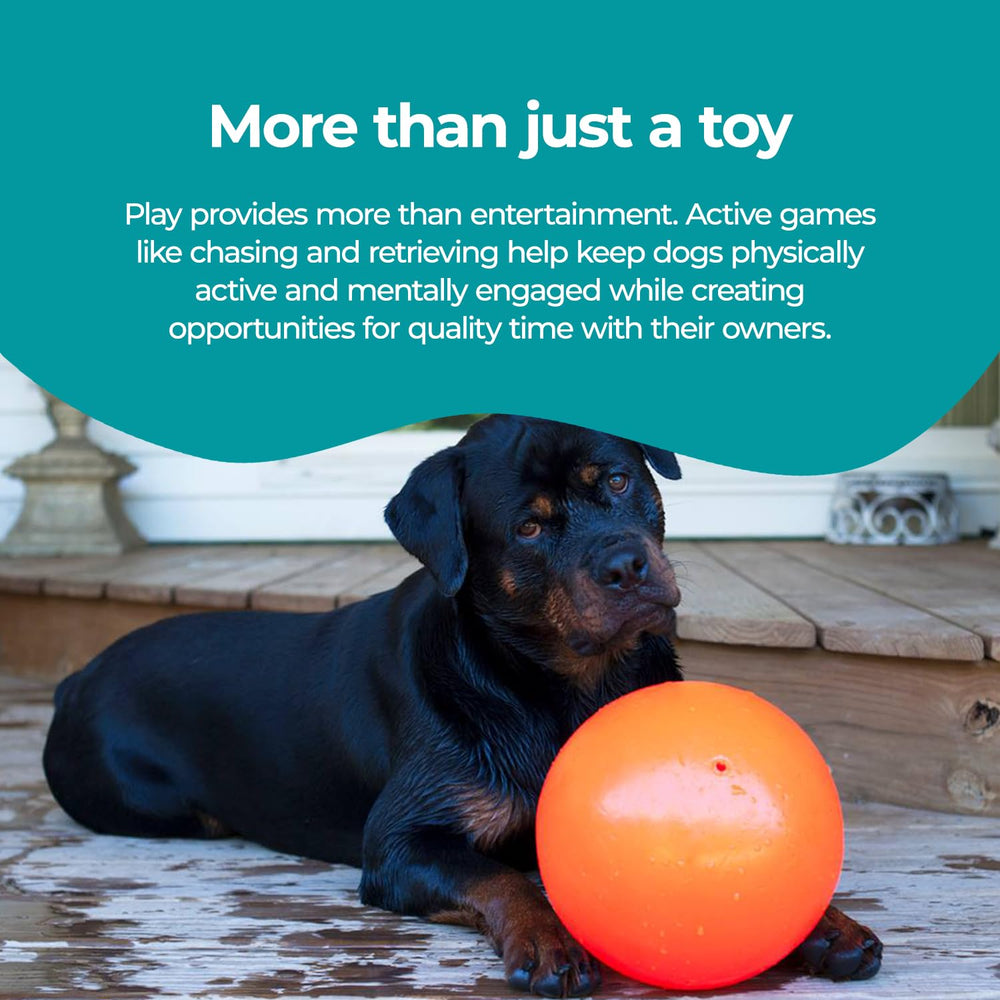 Jolly Pets balle flottant sur eau pour jeux aquatiques