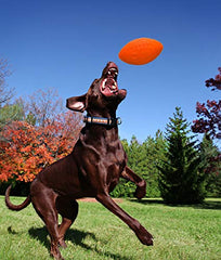 Jolly Pets football flottant sur l'eau pour jeux au lac ou piscine