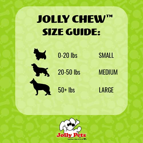 Chien saisissant Jolly Pets Jolly Bone pendant un jeu de rapport bénéfice durabilité