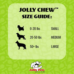 Chien saisissant Jolly Pets Jolly Bone pendant un jeu de rapport bénéfice durabilité
