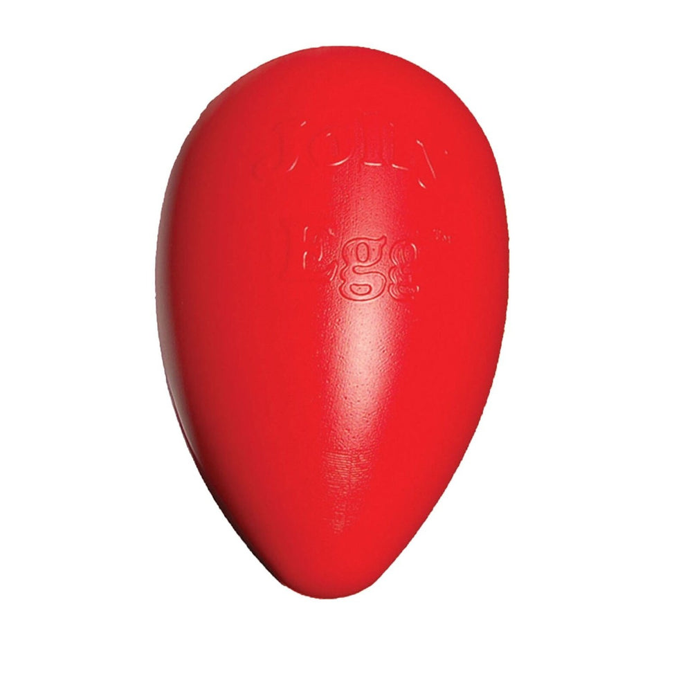 Jolly Pets grand chien poussant le Jolly Egg pour exercice et stimulation