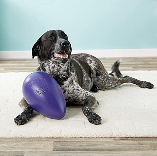 Jolly Pets Jolly Egg emballage indiquant fabrication USA et informations produit