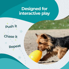Jolly Pets Jolly Egg flottant sur l'eau pour jeux aquatiques sécurisés