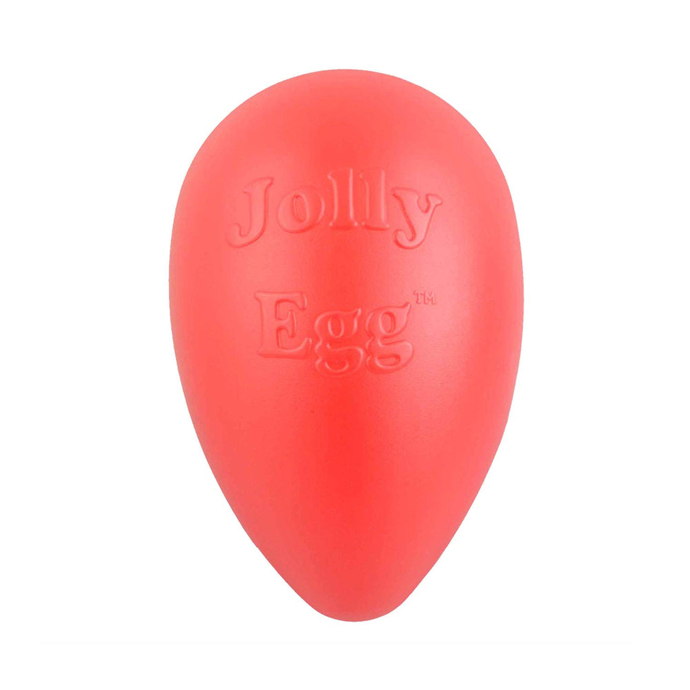 Jolly Pets Jolly Egg face avant montrant la forme ovale et attraction visuelle
