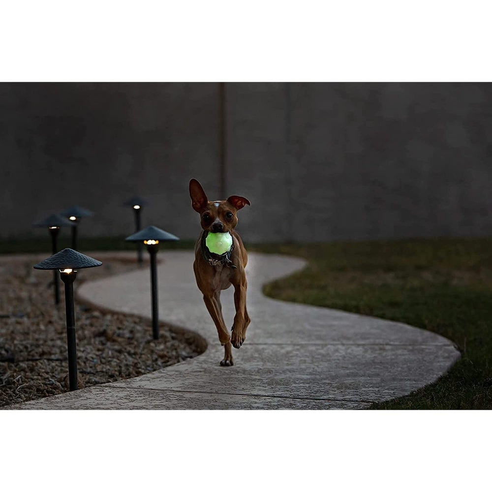 Jolly Pets Jolly Jumper gros plan sur picots offrant massage des gencives