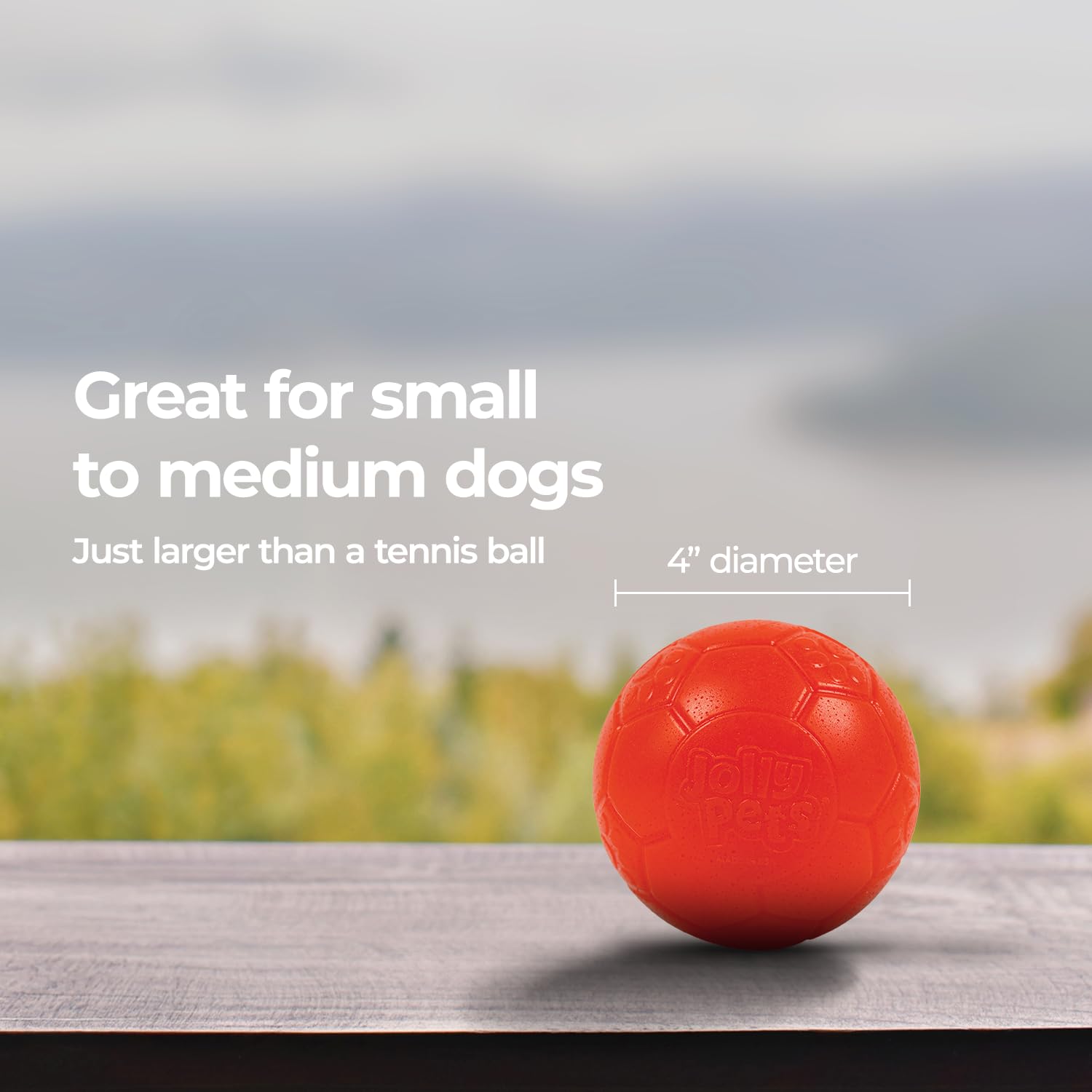 Jolly Pets comparaison taille avec une main illustrant adapté aux petits chiens