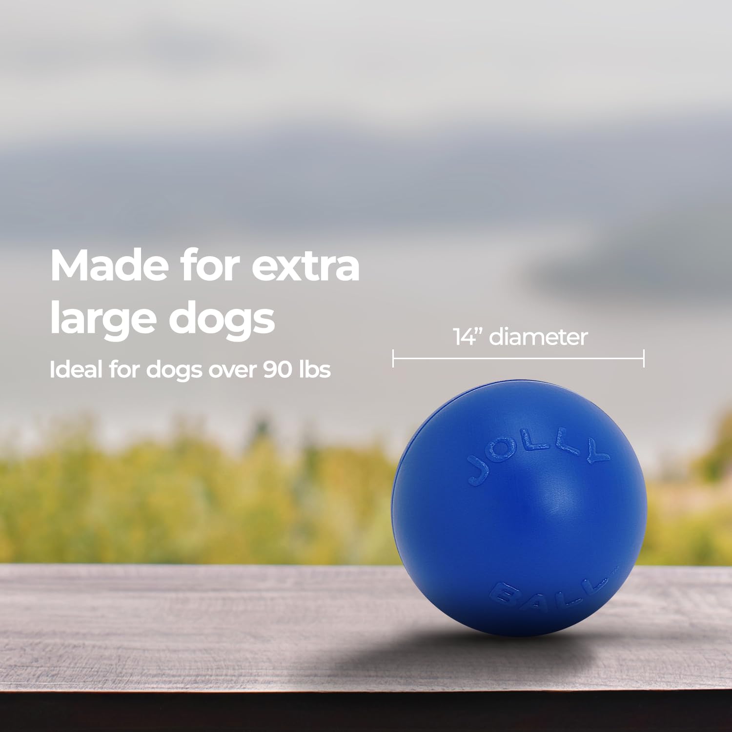 Jolly Pets comparaison taille avec chien illustrant dimension extra-large