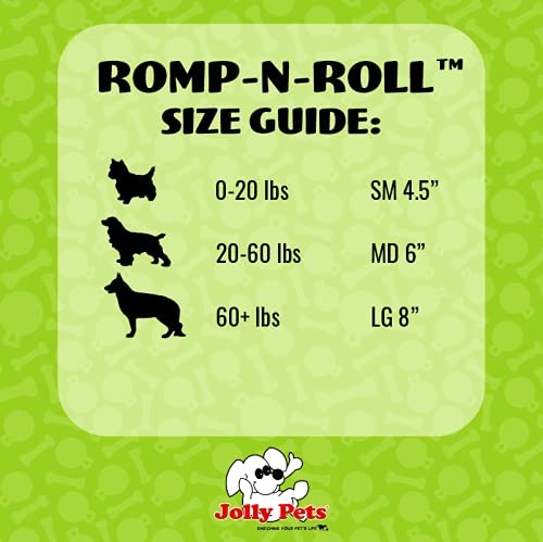 Jolly Pets jouet en usage avec chien qui rapporte, favorise exercice modéré