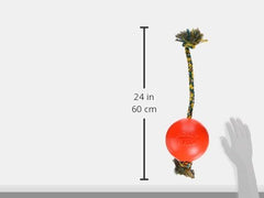 Jolly Pets corde Easy Grip en évidence pour lancer et tirer facilement
