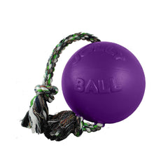 Jolly Pets balle flottant sur l'eau illustrant récupération facile au lac