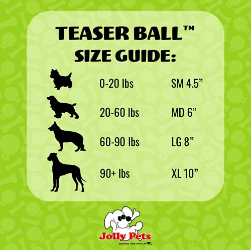 Jolly Pets Teaser Ball en jeu avec chien illustrant stimulation physique et amusement