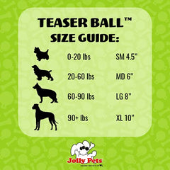 Jolly Pets Teaser Ball en jeu avec chien illustrant stimulation physique et amusement
