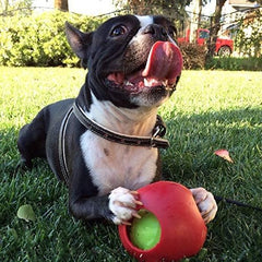 Jolly Pets Teaser Ball gros plan texture extérieure antidérapante, prise facile