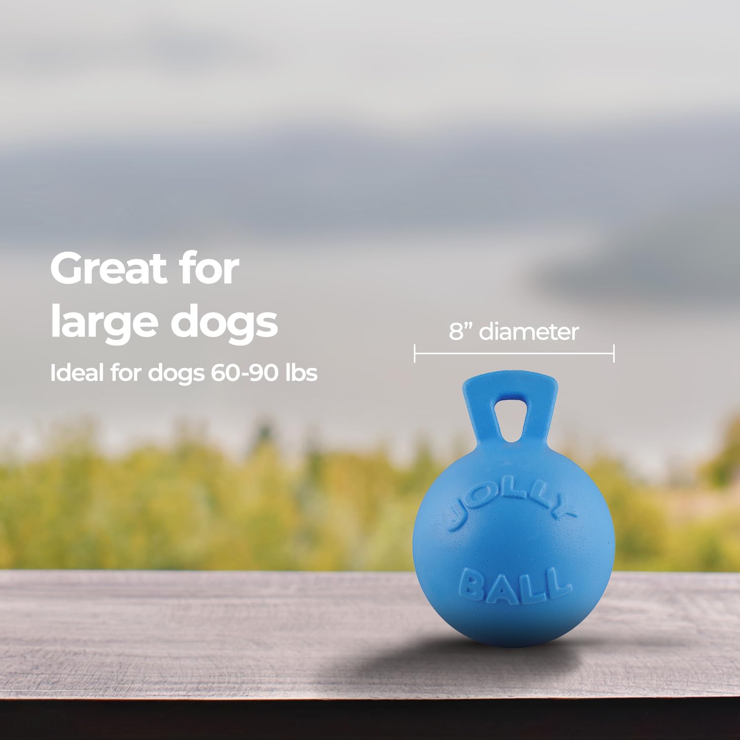 Comparaison taille Jolly Pets 8 pouces devant main pour repère d’échelle