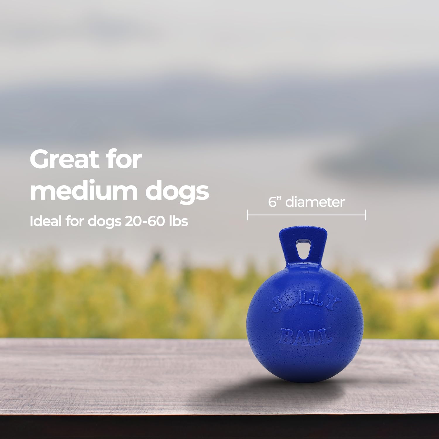 Jolly Pets comparaison d'échelle montrant diamètre 15 cm pour chiens moyens