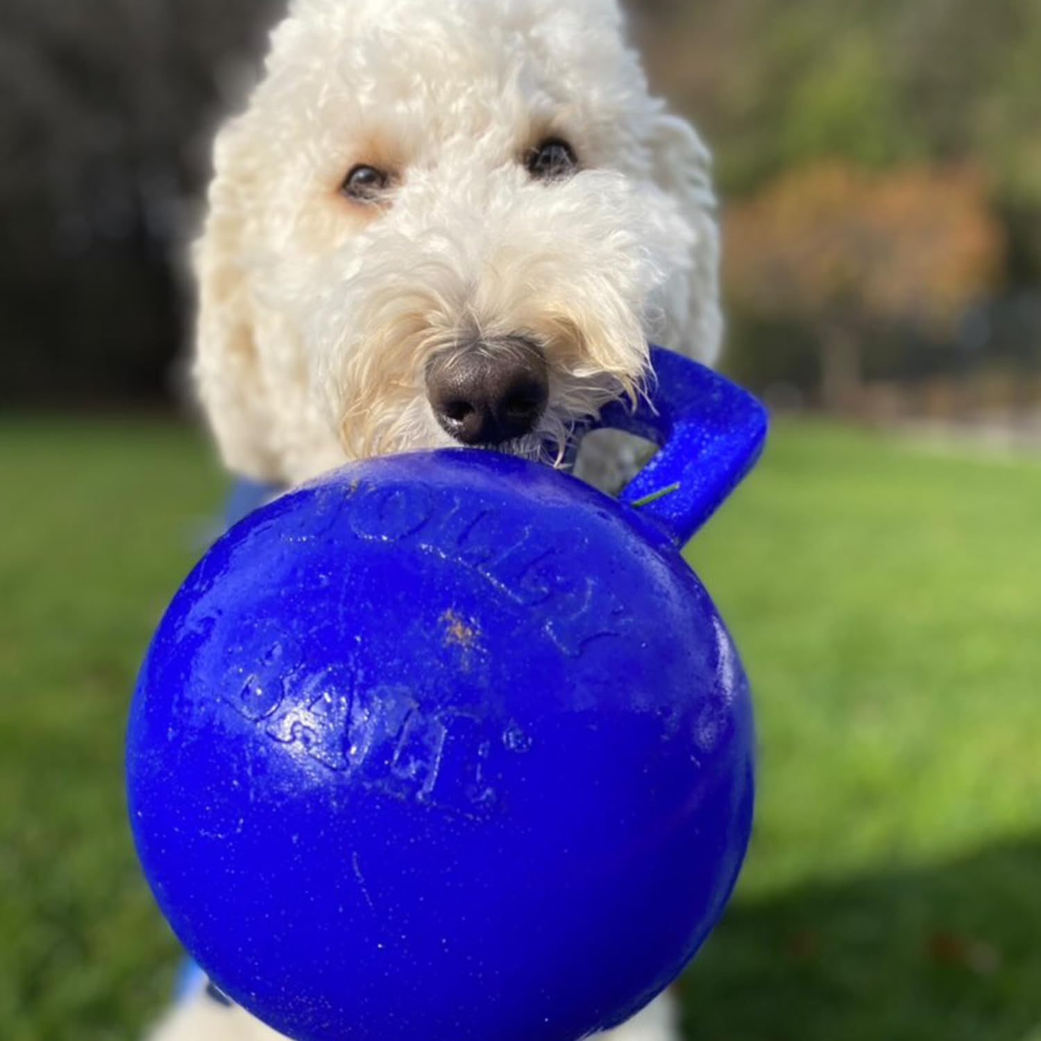 Jolly Pets emballage et étiquette affichant consignes de sécurité