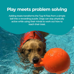 Jolly Pets balle flottant sur l’eau, idéale pour jeux aquatiques et récupération facile