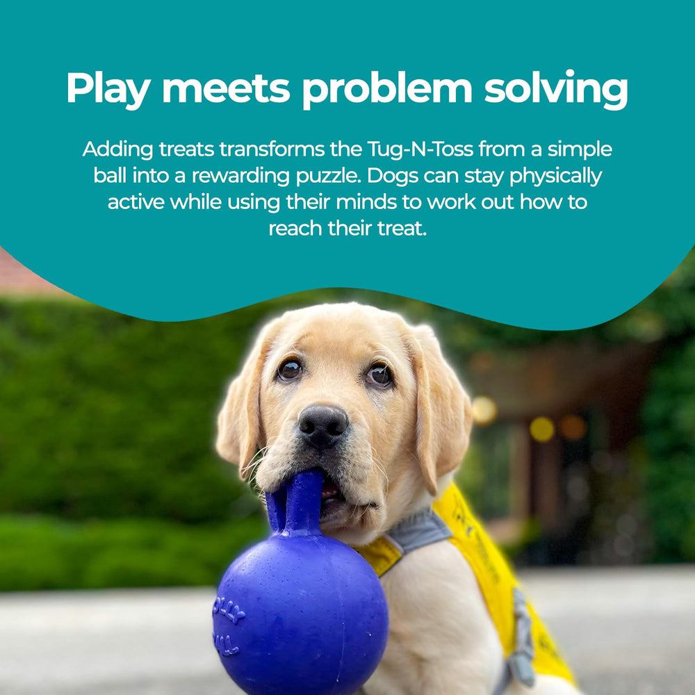 Jolly Pets balle en action avec chien tirant, encourage l'activité extérieure