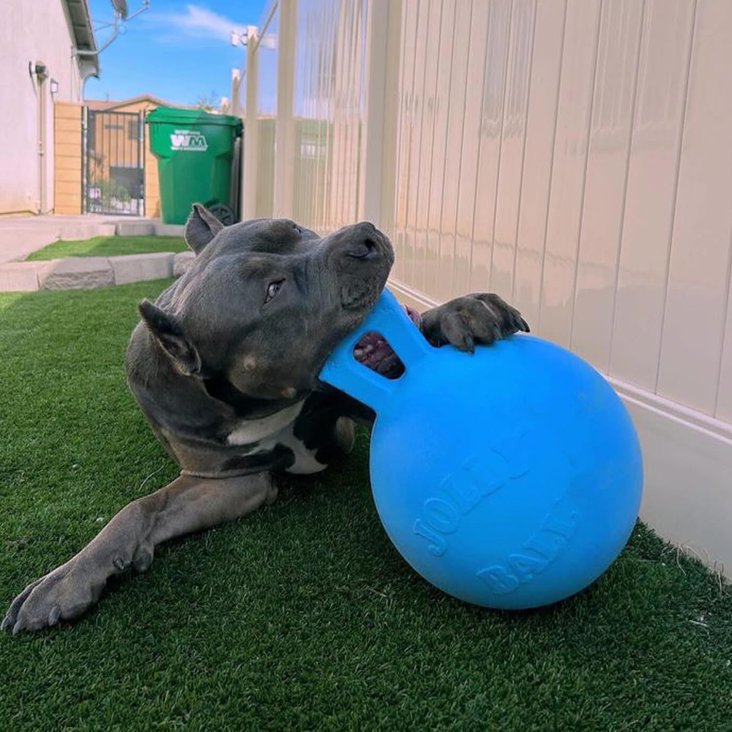 Jolly Pets sur la plage prêt pour jeux extérieurs et nettoyage facile