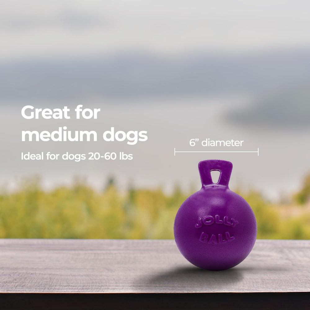 Jolly Pets balle à côté d'une règle pour comparaison de taille