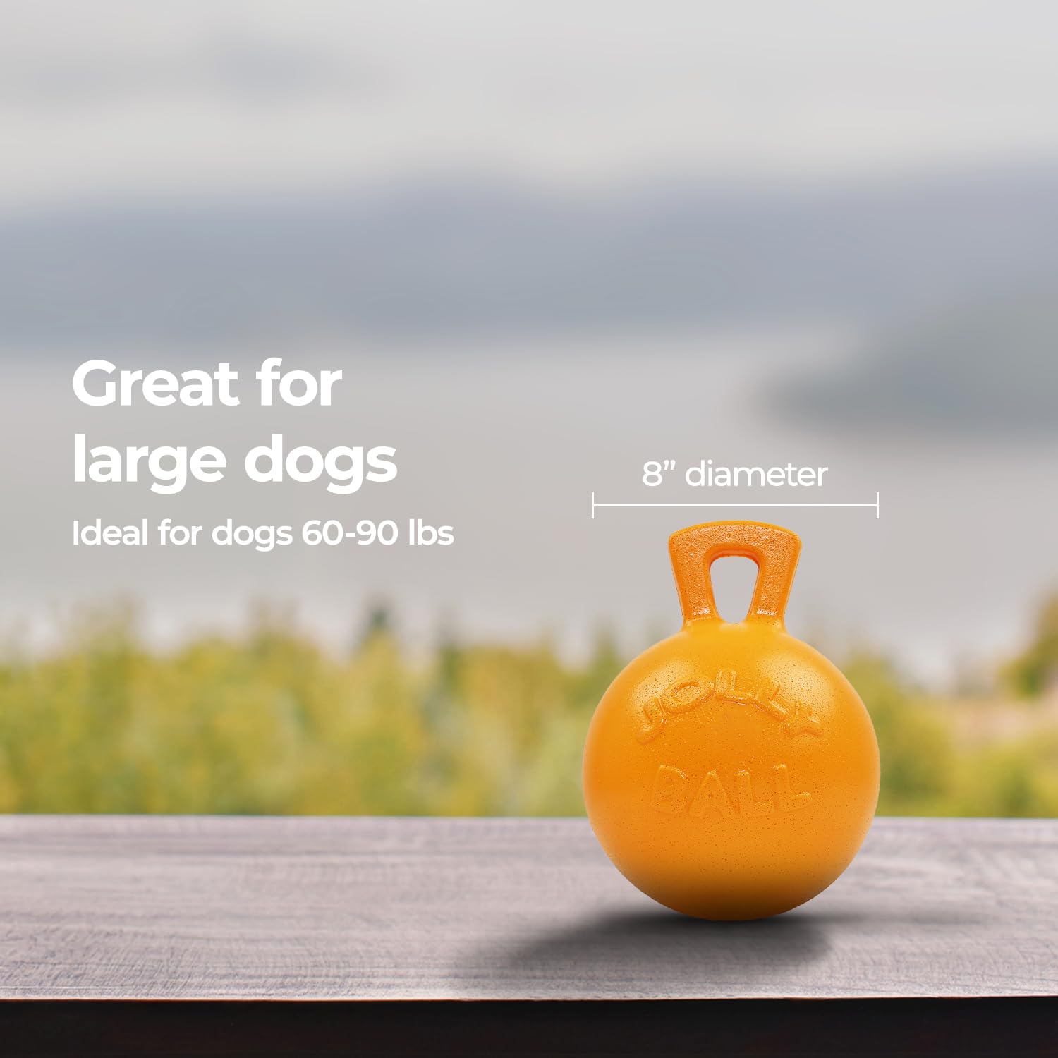 Jolly Pets comparaison de taille 8 pouces pour visualiser l’échelle adaptée aux chiens moyens