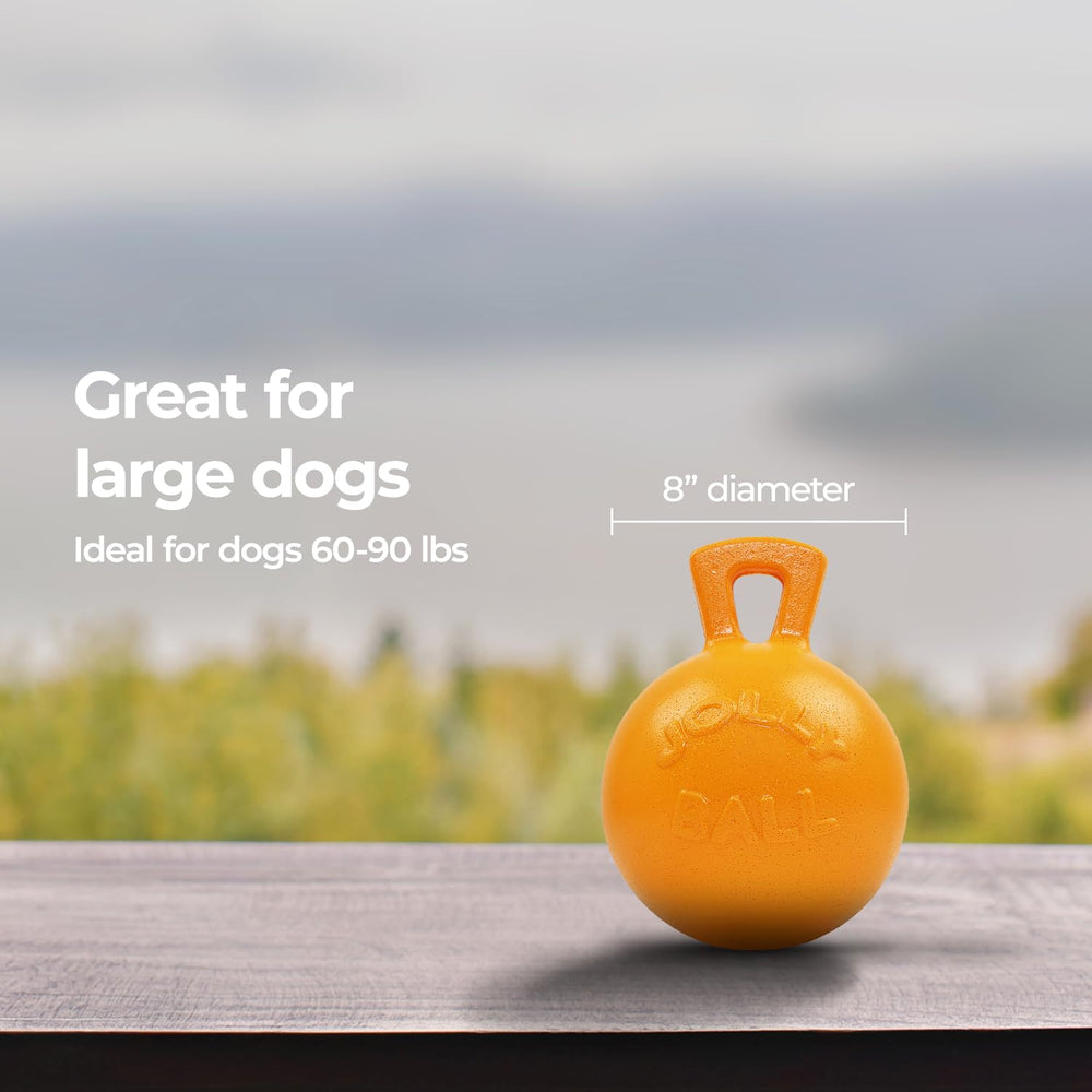 Jolly Pets comparaison de taille 8 pouces pour visualiser l’échelle adaptée aux chiens moyens