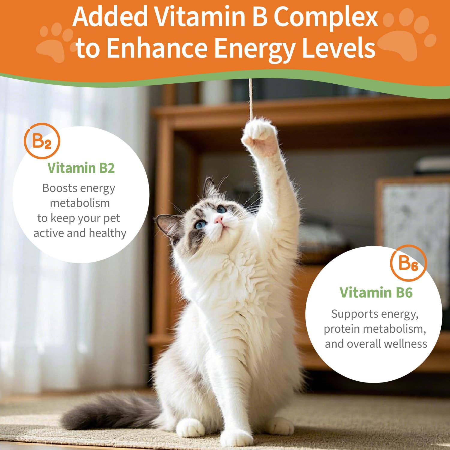 Jollyfit mélangé à nourriture de chat pour acceptation et appétit