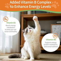 Jollyfit mélangé à nourriture de chat pour acceptation et appétit