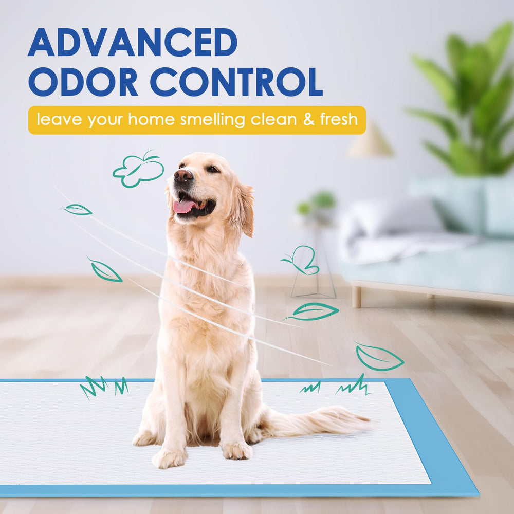 JollyMate tapis à côté d’un chien pour montrer la grande taille