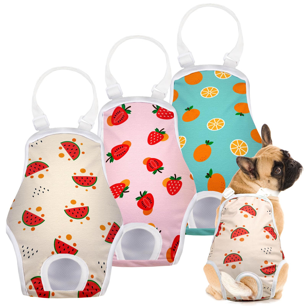 Jollywoods face avant de la culotte hygiénique montrant le design et la protection