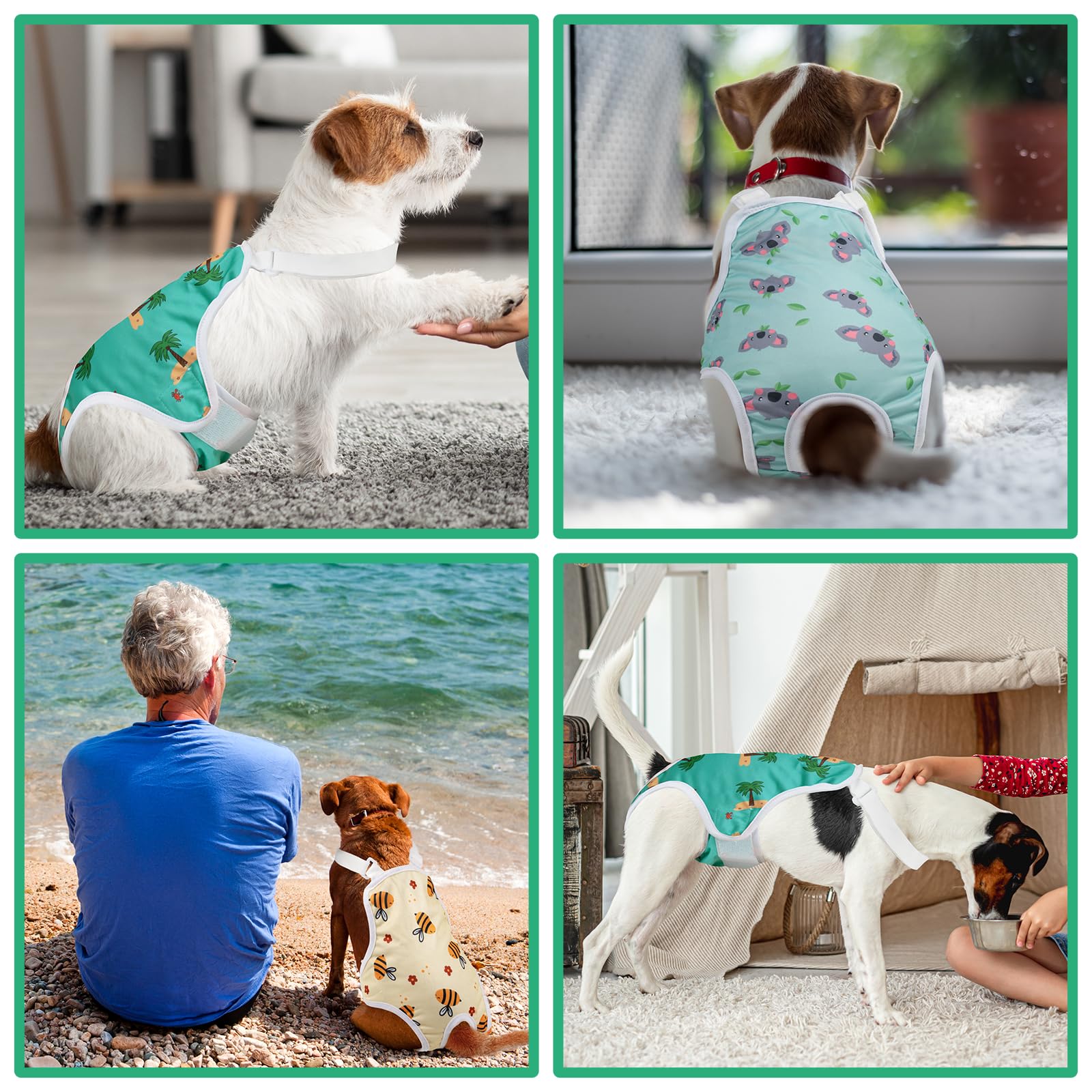 jollywoods fermetures velcro douces pour le pelage sans accrocs