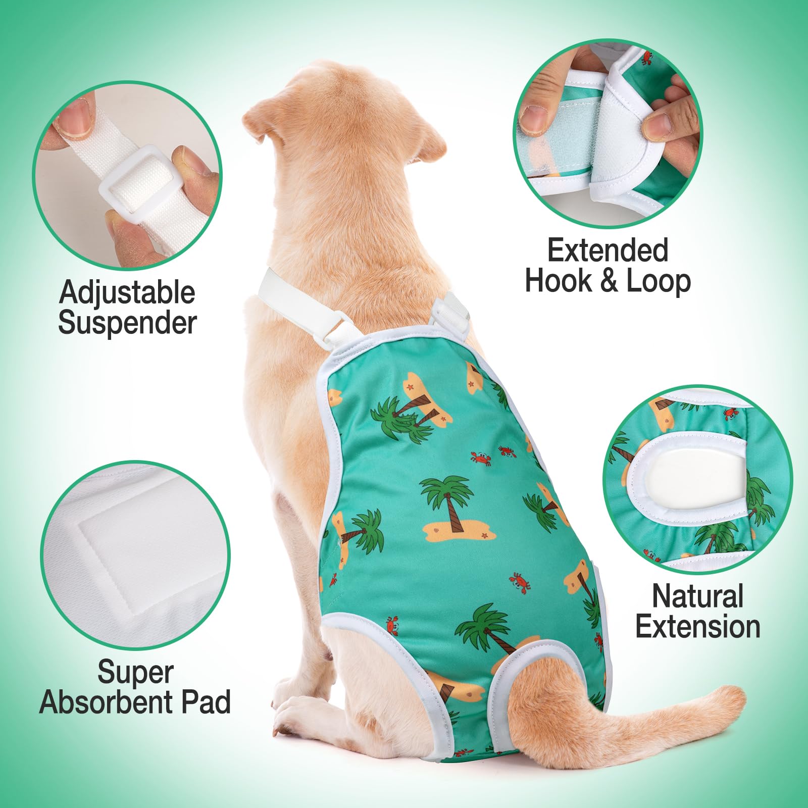 jollywoods gros plan intérieur absorbant montrant absorption rapide