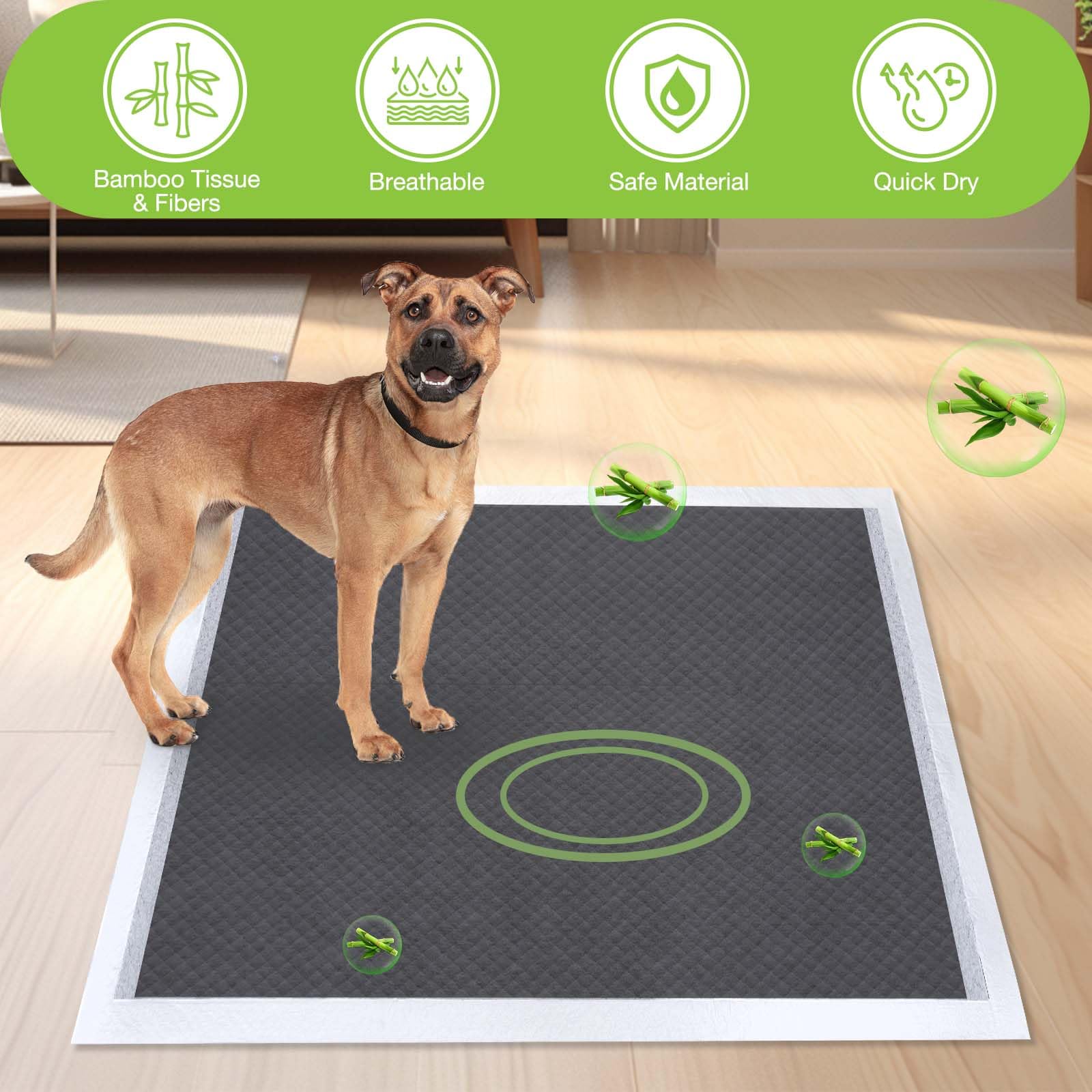 Jollywoods chiot utilisant le tapis, apprentissage plus propre