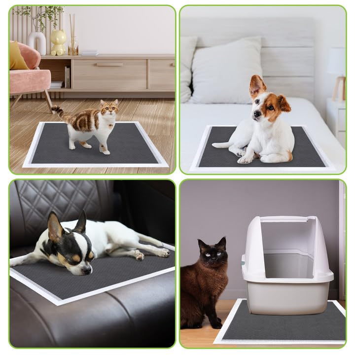 Jollywoods tapis à l'échelle d'une main, taille compacte et utile