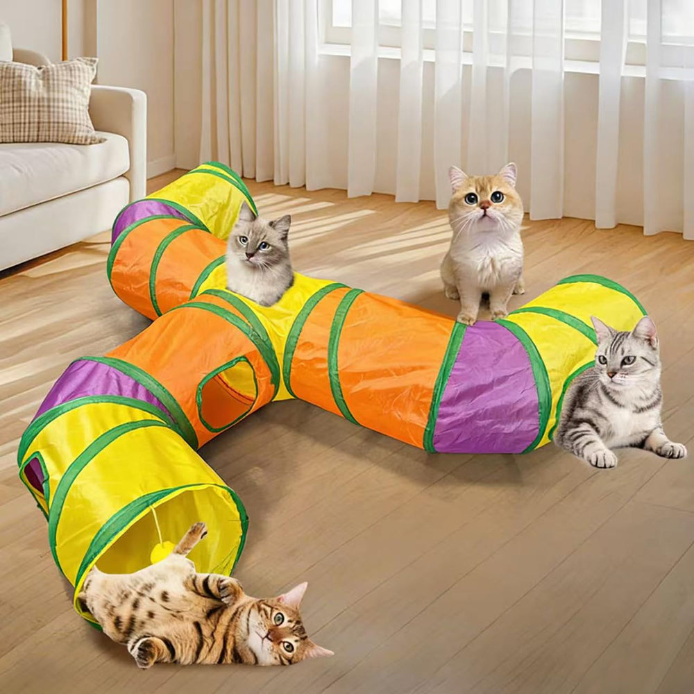 JoneRise scène de salon montrant tunnel utilisé par chat et lapin pour activité