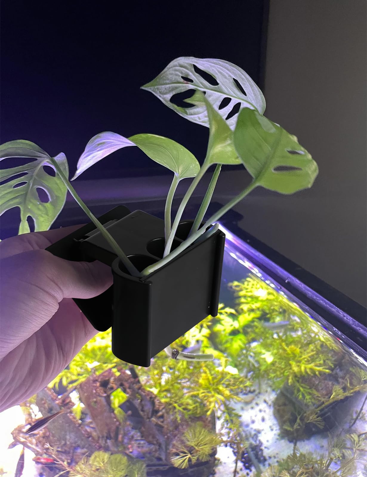 joqepy décor d'aquarium avec porte-plante installé, ajoute une touche naturelle
