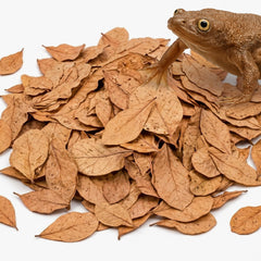 JOR emballage avant montrant le lot de 120 feuilles et bénéfice d'utilisation pratique