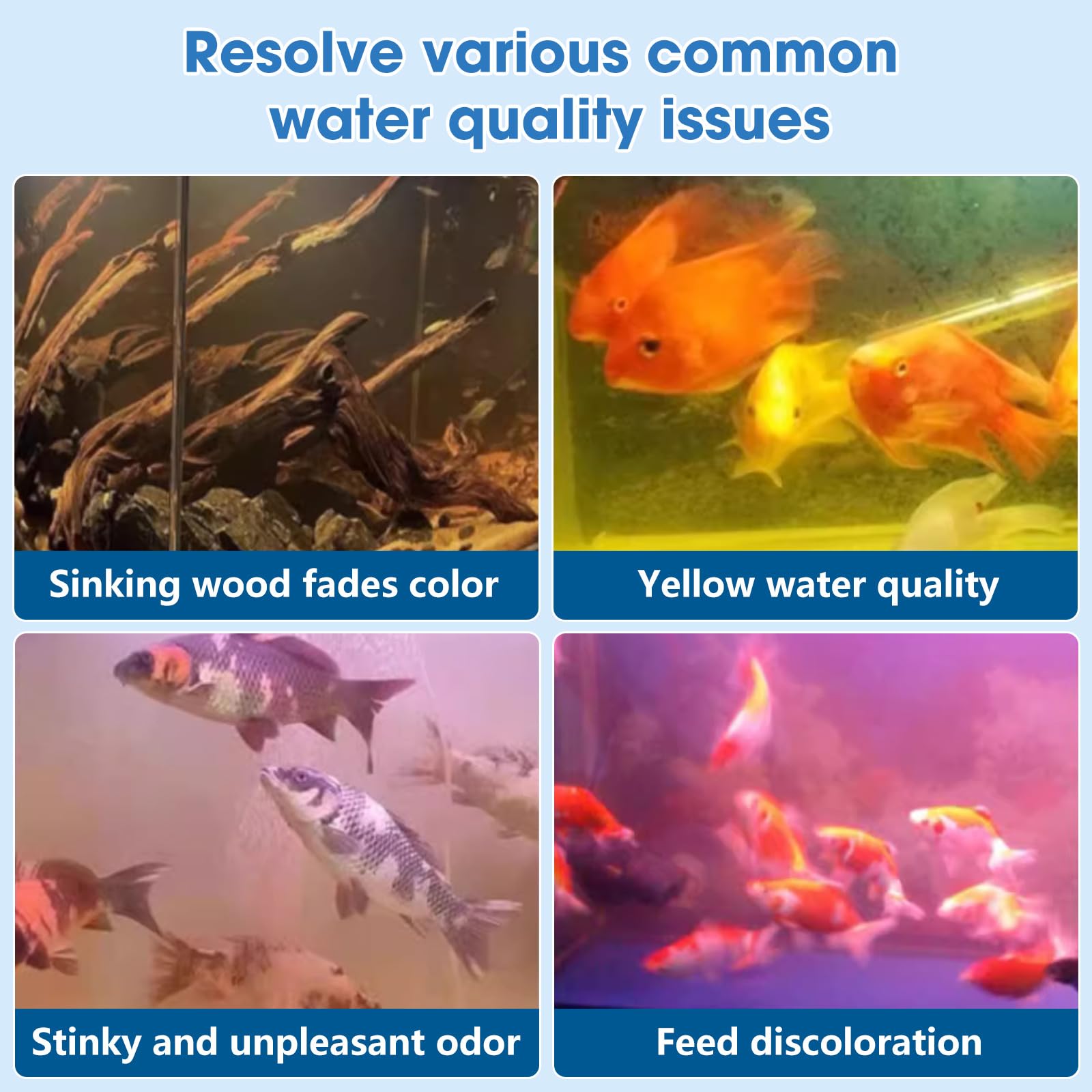 Jorewood aquarelle d'aquarium clair montrant bénéfice visuel produit