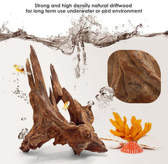 Jorewood installé en aquarium apportant cachettes et décor naturel