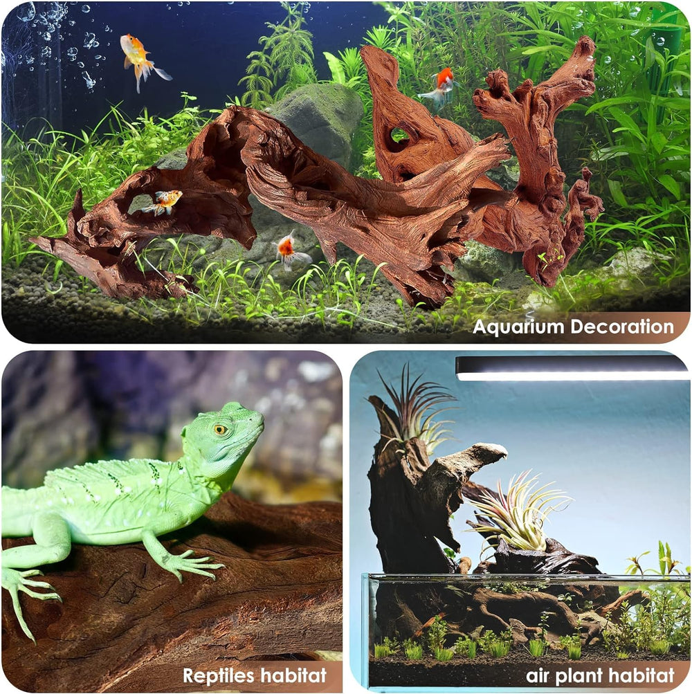 Jorewood intégré en terrarium créant zones de repos et escalade pour reptiles