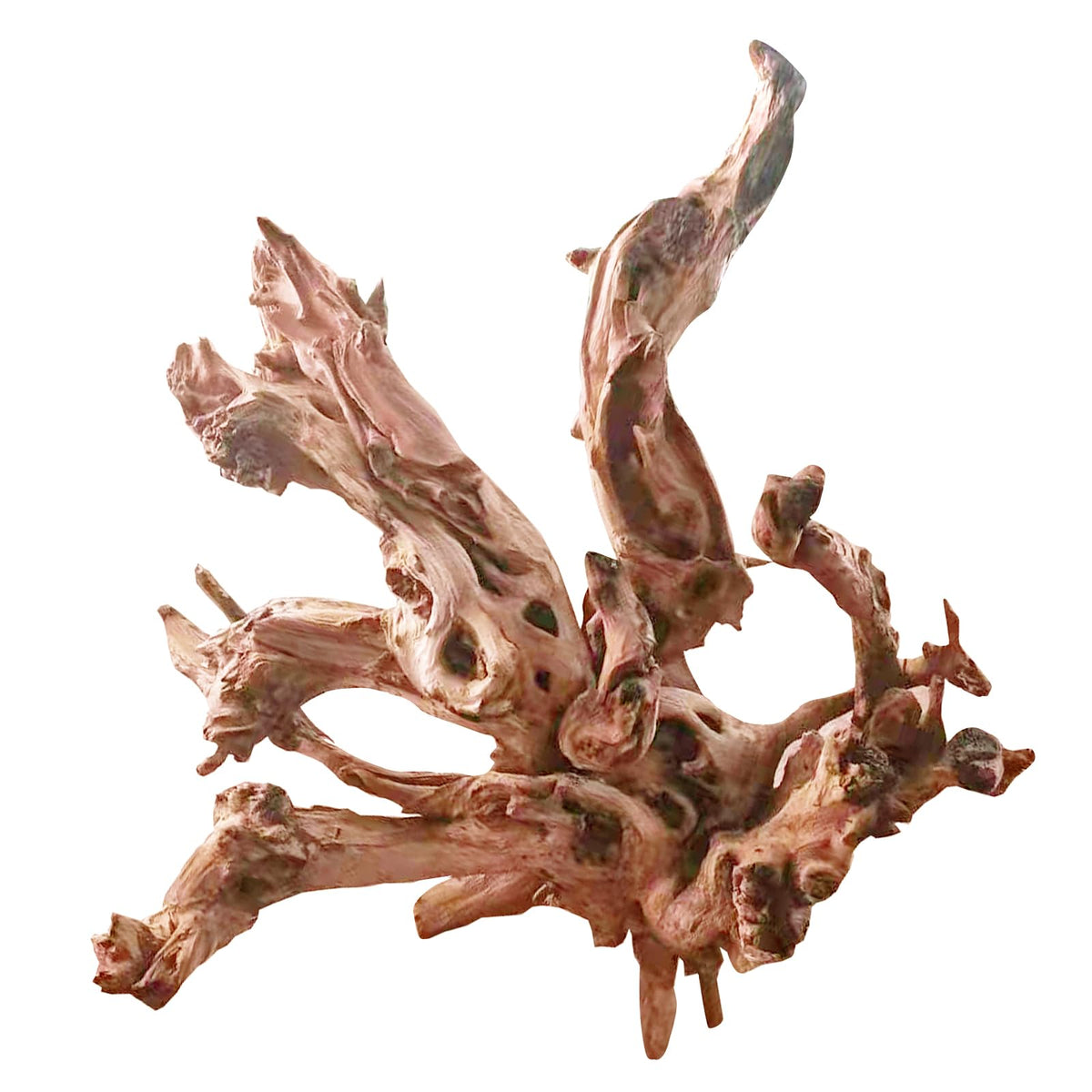Jorewood bois flotté face montrant silhouette sculpturale et ajout naturel